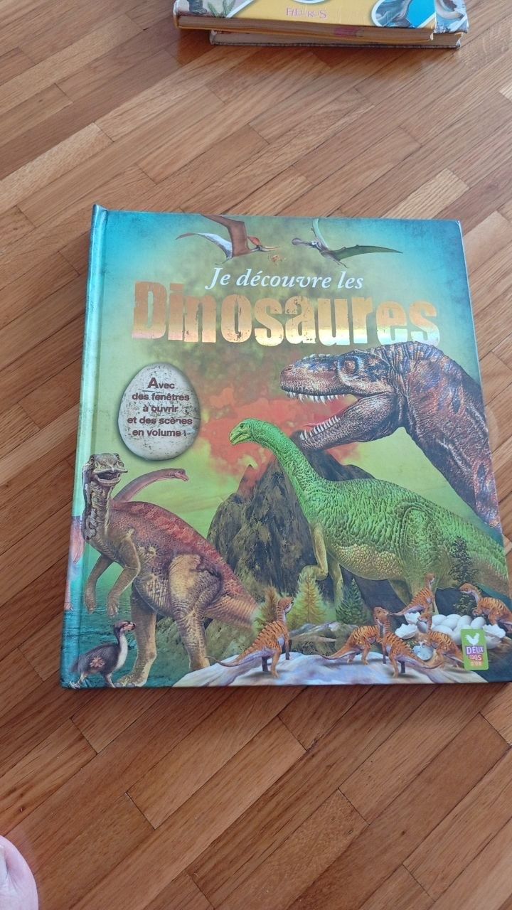Libri: set de 3 livres "dinosaures" – Usato da Gland venduto da M_marc 6
