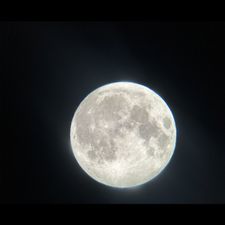 Profile image of jsch1377