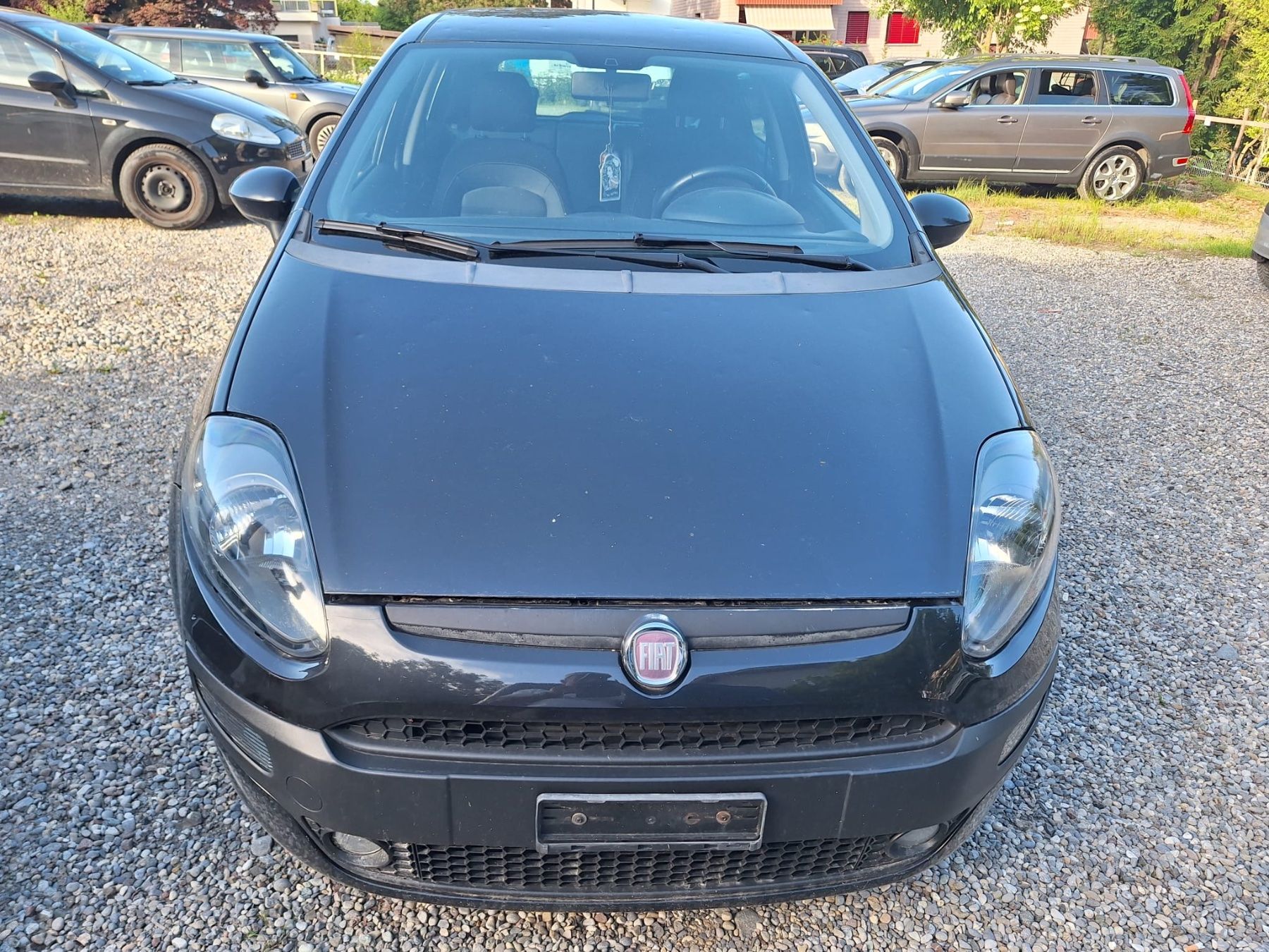 Fiat Automobili: Fiat Punto 1.4 16V – Usato da St. Gallen venduto da Pro-Autos