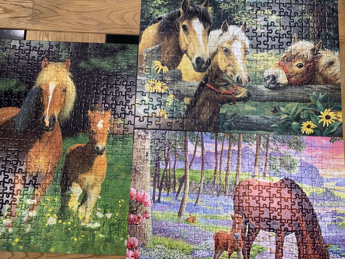 Ravensburger Puzzles: Ravensburger Puzzle Lot de 3 . – Neu (gemäss Beschreibung) aus Prilly von Sissi_1009 2