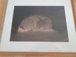 Reinhold Rudolf Junghans Tuschbild Reh