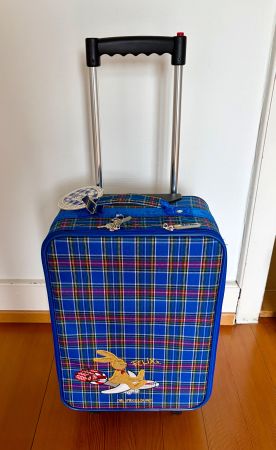 Kinder Reise Rollkoffer