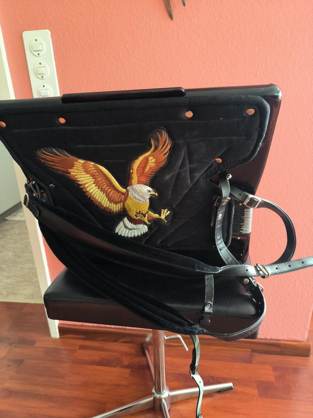 Strumenti musicali: Akkordeon - Made in Italy – Usato da Luzern venduto da wildflower1 2