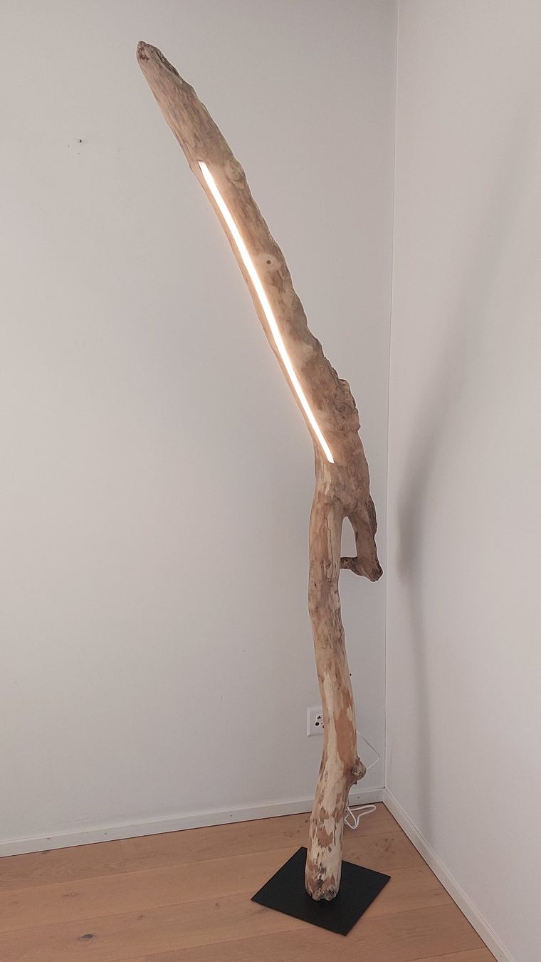 Lampade: Schwemmholz-Leselampe "Arcwood Light" – Nuovo e nell'imballaggio originale da Egnach venduto da Oldwoodstyle 6