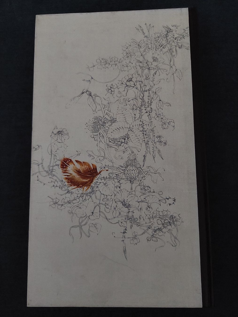 Bücher: Guide des Oiseaux – Neu (gemäss Beschreibung) aus Yverdon-les-Bains von pri_x6j6 4