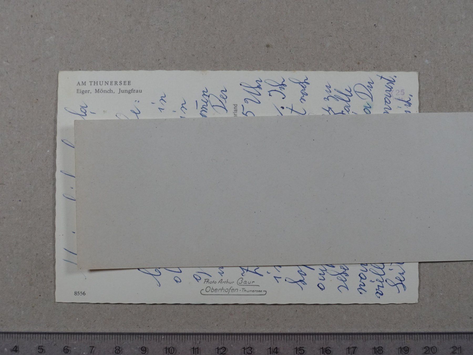 Cartes postales: Thunersee, Eiger, Mönch, Jungrau – D'occasion à Lenzburg par fh1 1