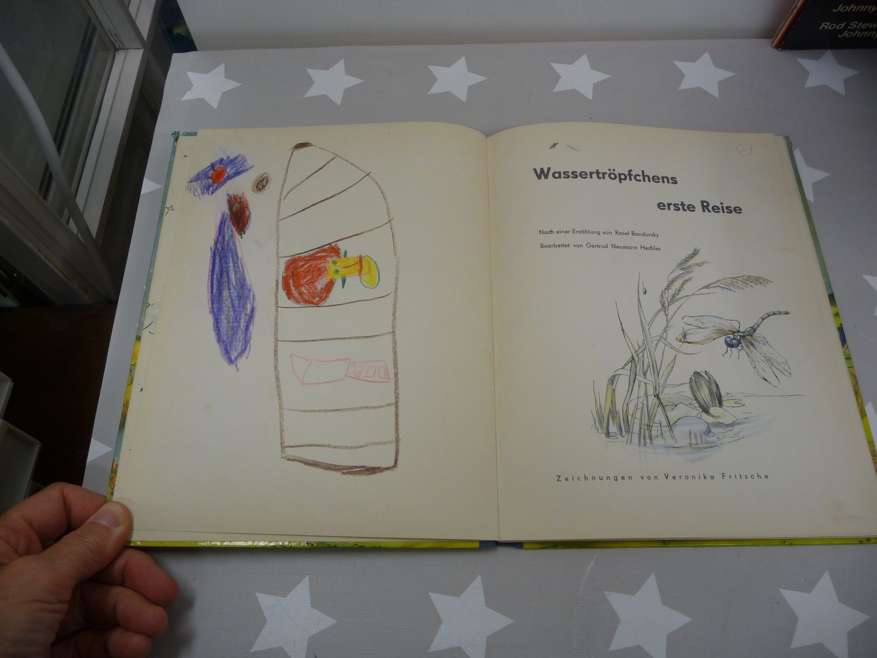 Libri: Buch: Wassertröpfchens erste Reise – Usato da Rafz venduto da Powacaddy 1