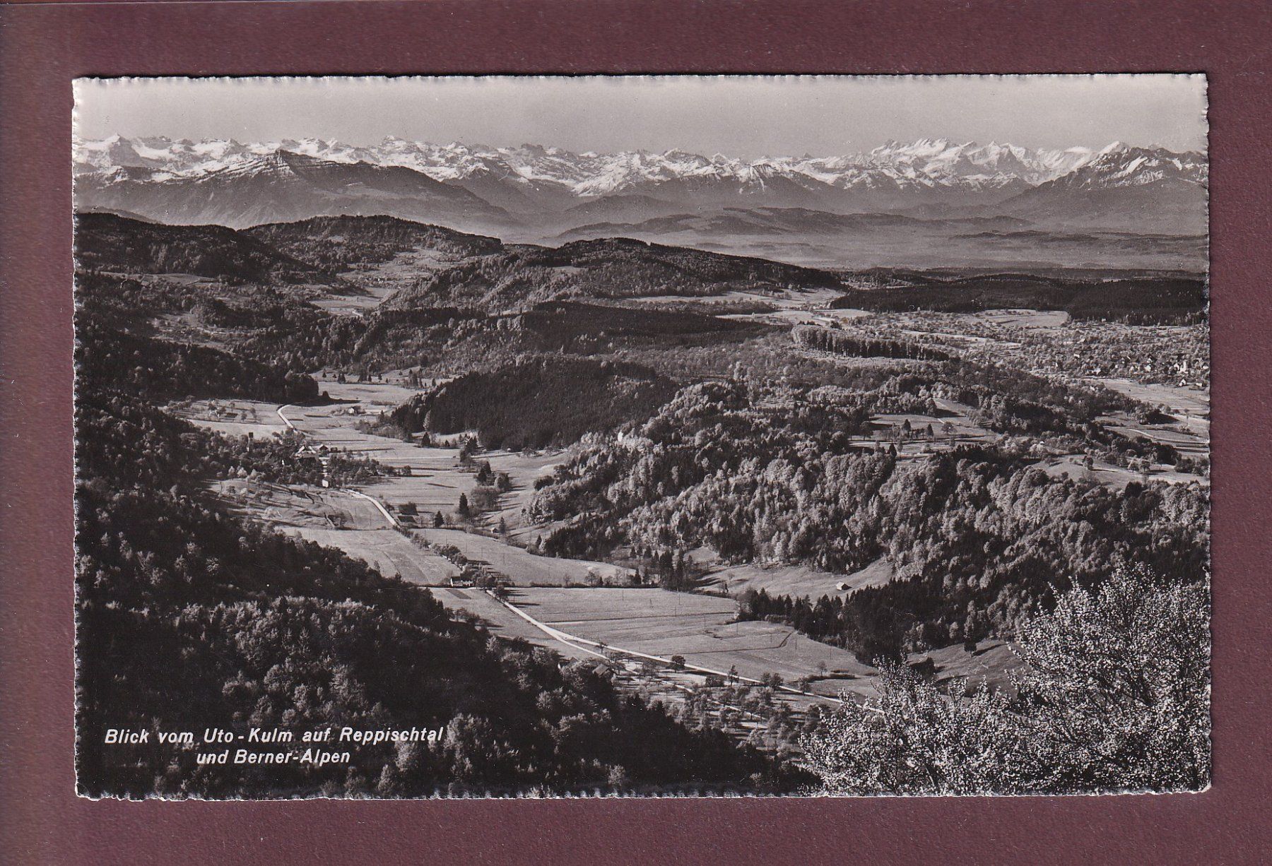 Ansichtskarten: REPPISCHTAL vom Uto-Kulm – Gebraucht aus Pully von nicecards