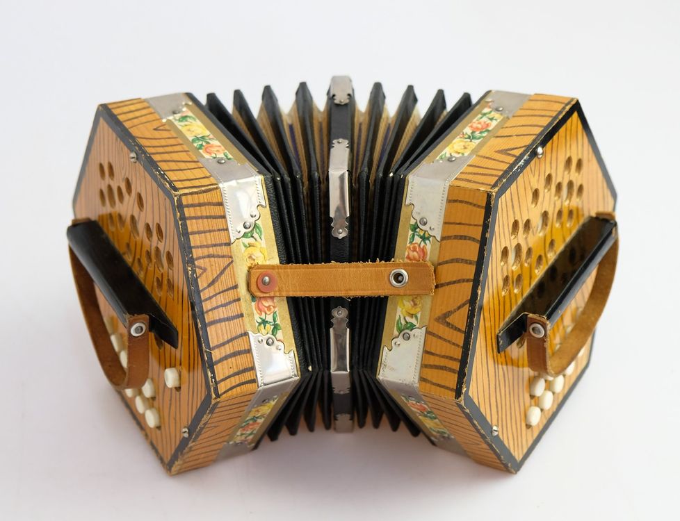 HolzConcertina Kaufen auf Ricardo