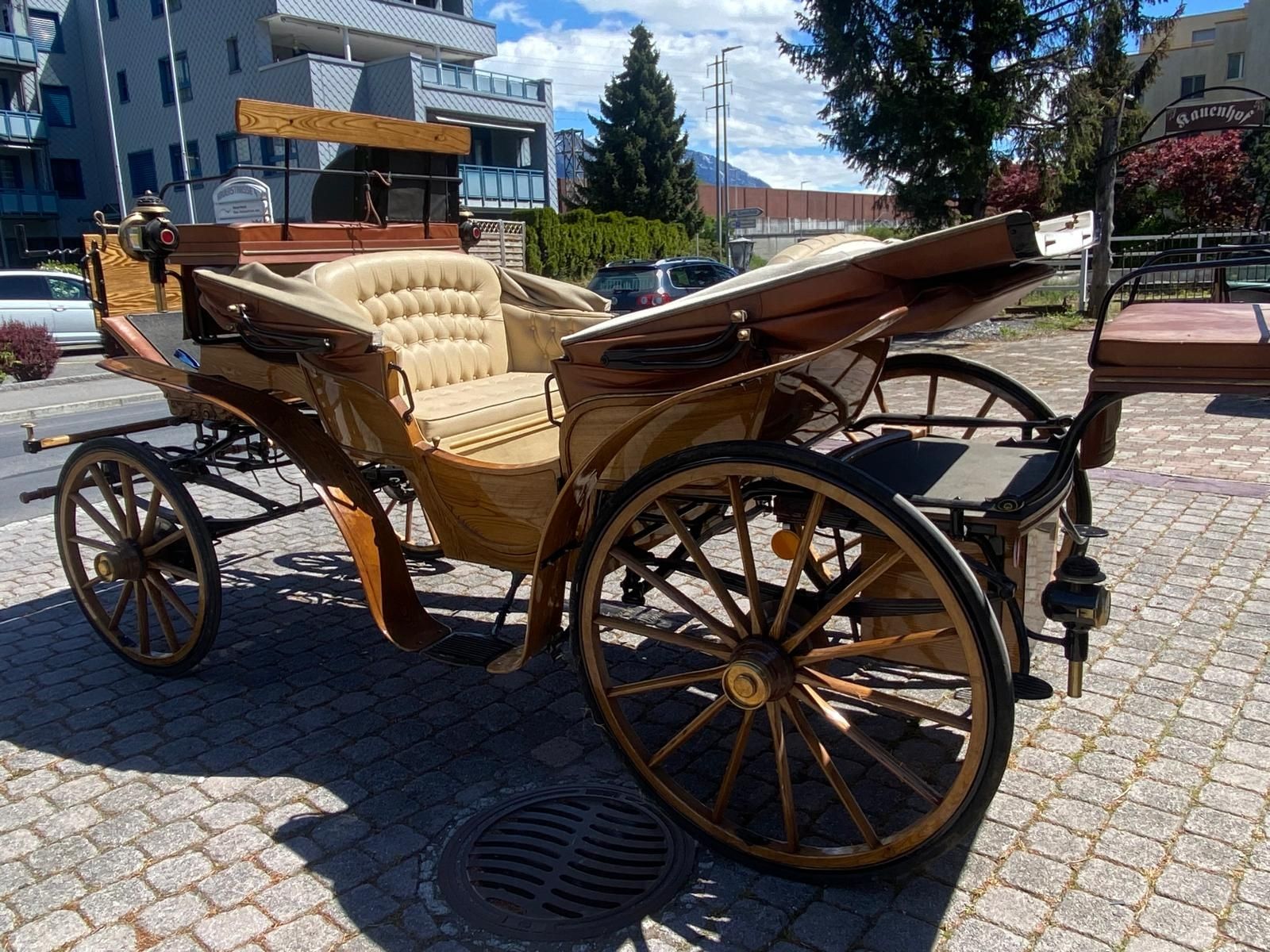 Carrozze: Dressur wagen Franc visavi – Usato da Sargans venduto da aze_kf6w 1