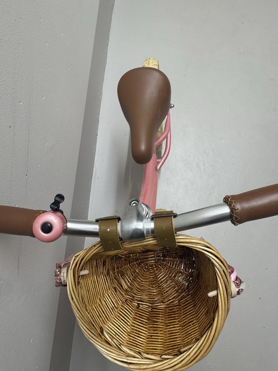 Siech Biciclette: Laufrad Siech Cycles Balance 12" Rosé  Neu – Nuovo (secondo la descrizione) da Belp venduto da Secondhand11 5