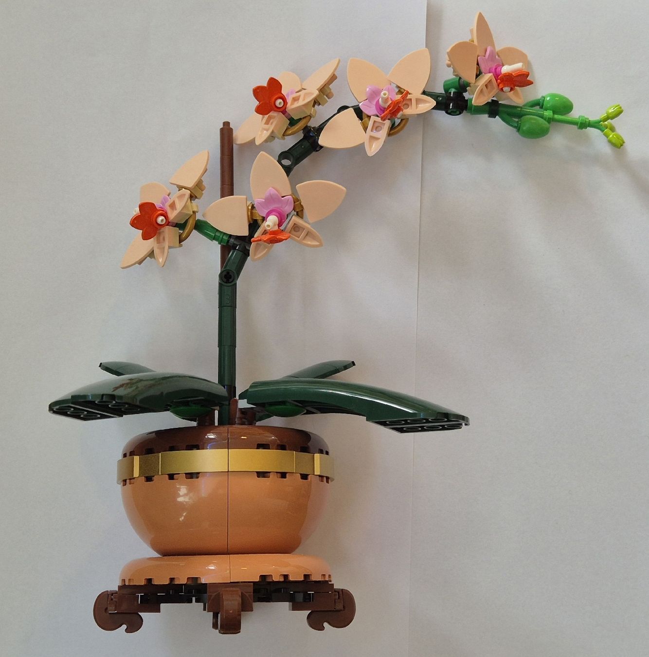 Lego Baukästen: LEGO Botanicals Mini Orchidee 10343 – Gebraucht aus Russikon von RemosBausteine 1