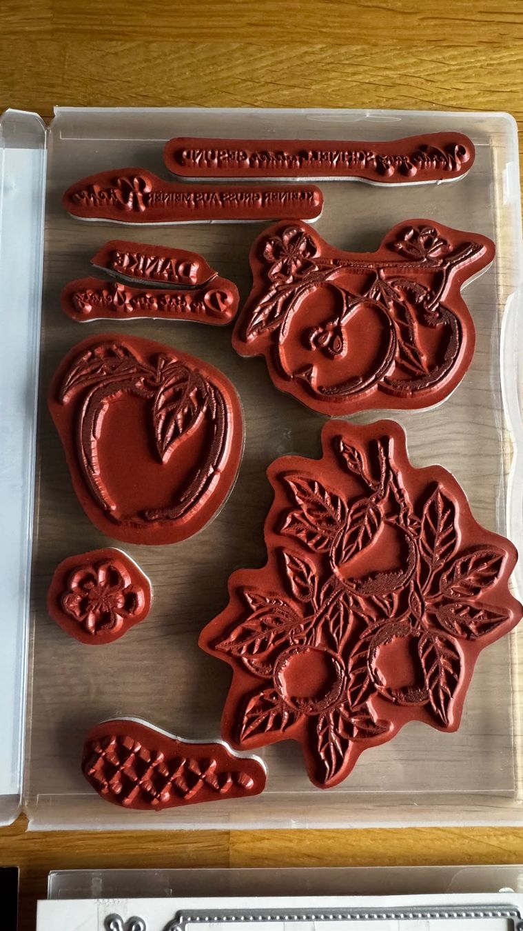 Stampin' up! Stempel: Stampin Up / Apfelernte / A – Gebraucht aus Neukirch (Egnach) von muolen 2