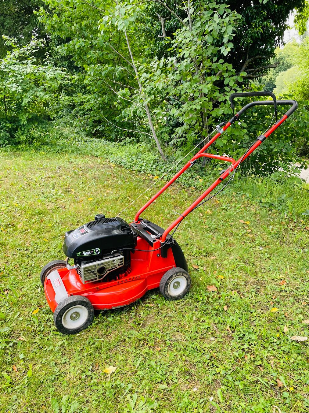Tagliaerba: Rasenmäher Sabo 43- COMPACT – Difettoso da Dietikon venduto da L.L_GmbH 2