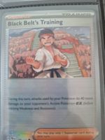 Black Belt's Training - Pokeball - Prismatic Evolution