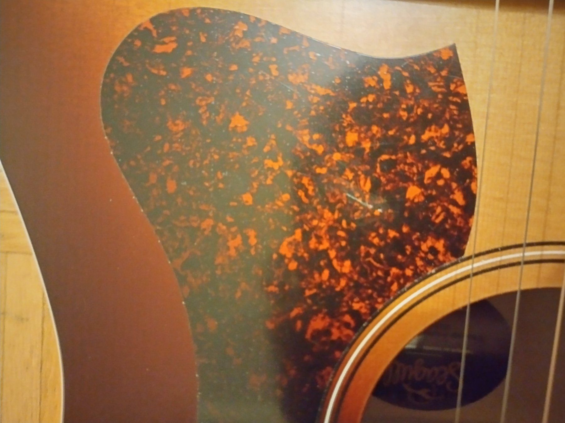 Seagull Strumenti musicali: Seagull Entourage Cutaway Presys 2 – Usato da Basel venduto da kea_9jr9 2