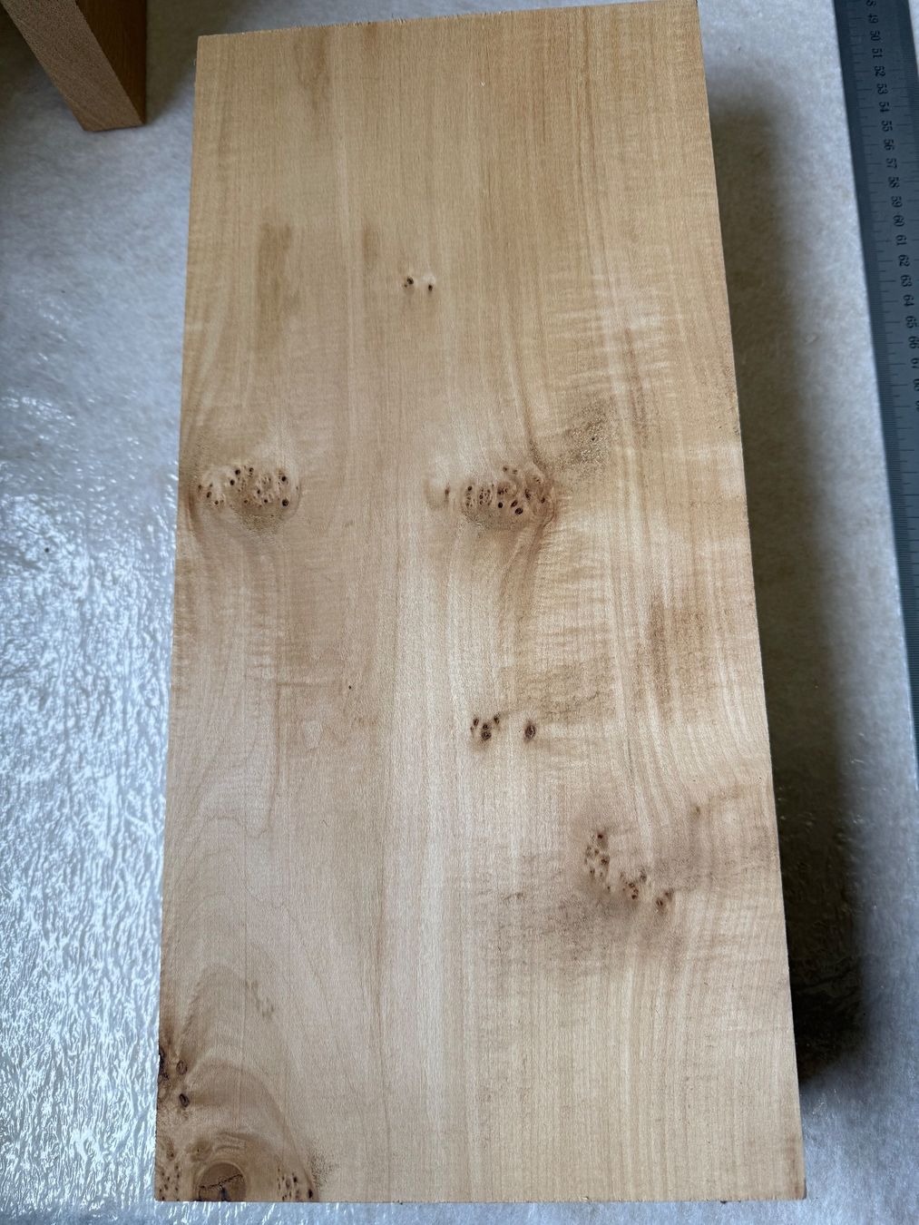 Articoli in legno: Flatterulme Bretter Stamm – Nuovo (secondo la descrizione) da Holziken venduto da Timbergrizzly 5