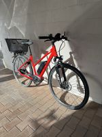 Tour de Suisse E-Bike / S-Pedelec 45 km/h – nur 498 km