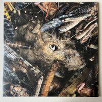 Hessian ‎– LP  Black Metal Southern Lord M-/M-
