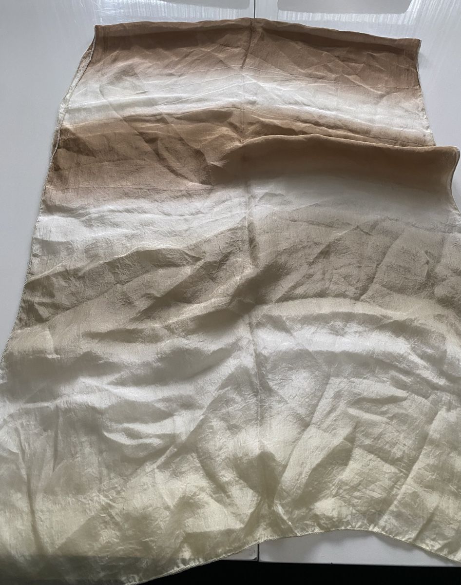 Foulards, Tücher & Schals: Passigatti Seiden Schal 🌸 – Gebraucht aus Opfikon von Luis144