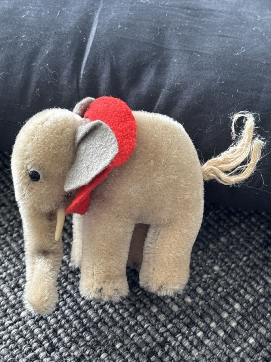 Steiff Giocattoli: Steiff Elefant Mohair 10cm – Usato da Seltisberg venduto da fam_g7bq