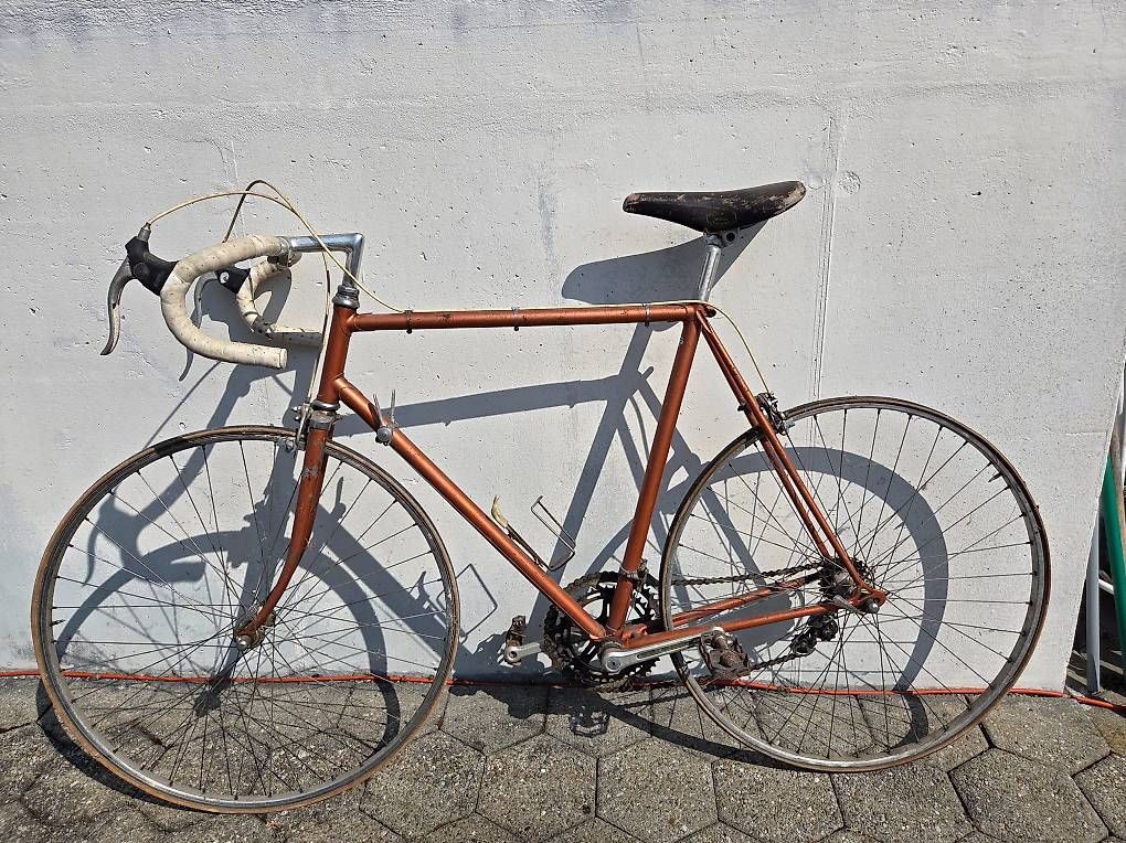 Biciclette: Vintage Rennrad – Usato da Berikon venduto da sabatuv