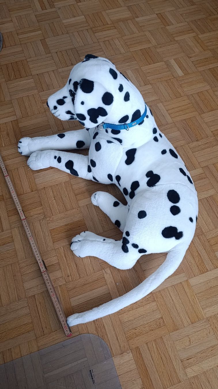 Giocattoli: Dalmatiner Stoffhund – Usato da Spiez venduto da Stey 3