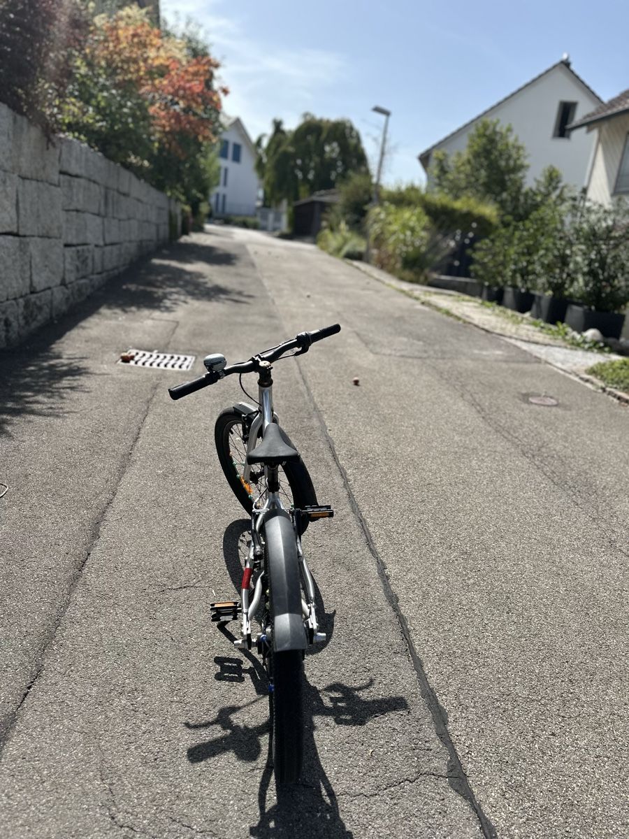 Early Rider Velos: Early Rider Belter – Gebraucht aus Hünenberg von TomN82 1