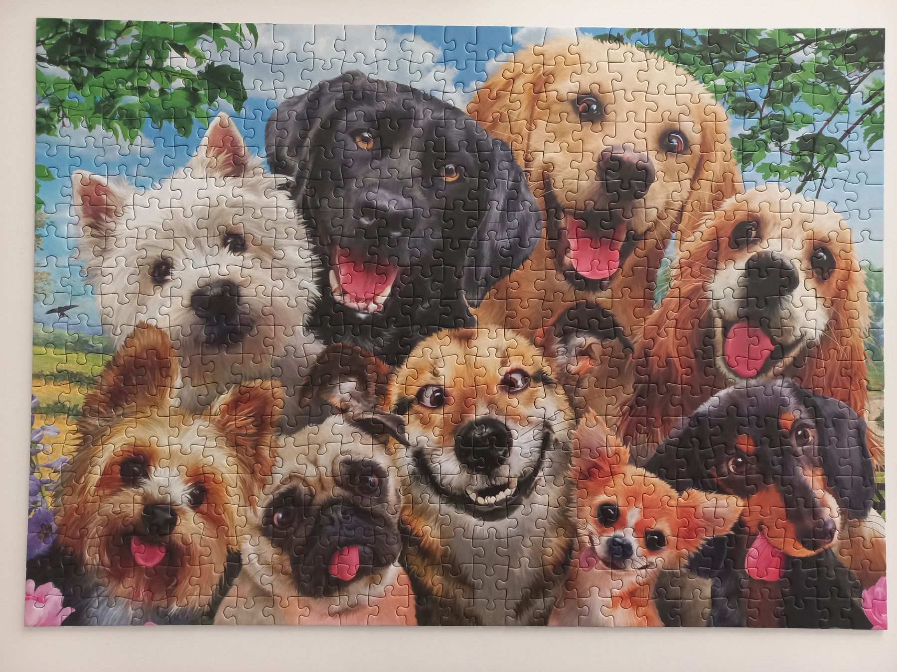 Puzzle: Cooles Puzzle Set 11x500 Teile – Usato da Arbon venduto da rispi89 5