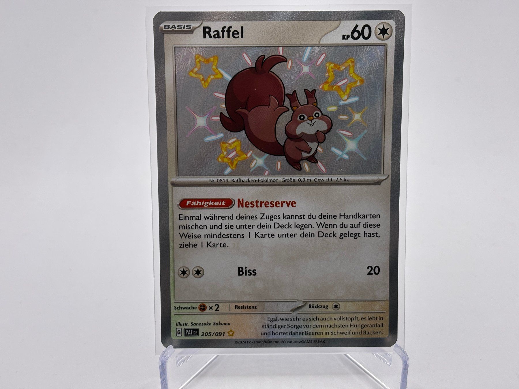 Pokémon Carte collezionabili: Paldeas Schicksale - Raffel  (PAF 205) - DE – Nuovo (secondo la descrizione) da Allschwil venduto da Bullach