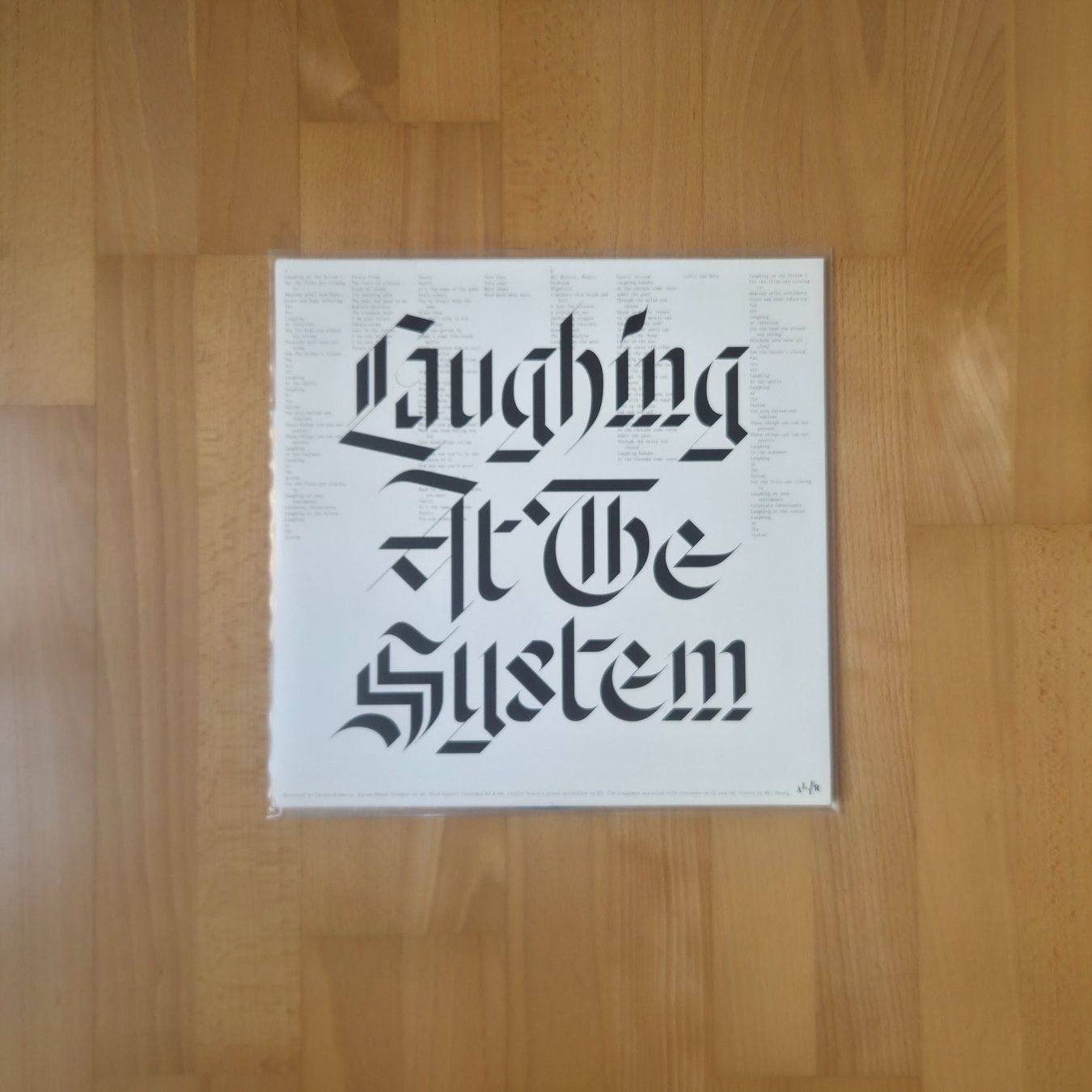 Dischi in vinile: Total Control – Laughing At The System LP Alter Post Punk – Usato da Zürich venduto da Wickeddude 2
