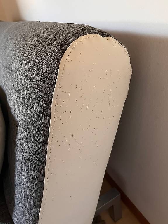 Divani: Ausziehbares Bettsofa – Usato da Bern venduto da ane_n5f7 1