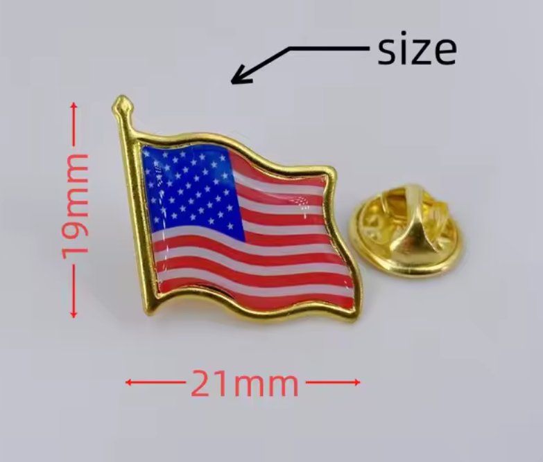 Placchette & Badge: Pin Anstecker USA – Nuovo e nell'imballaggio originale da Dintikon venduto da Vexi