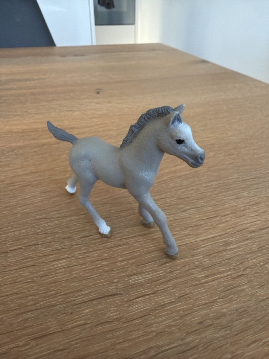 Schleich Spielzeuge: Schleich Fohlen grau – Gebraucht aus Uznach von Player6