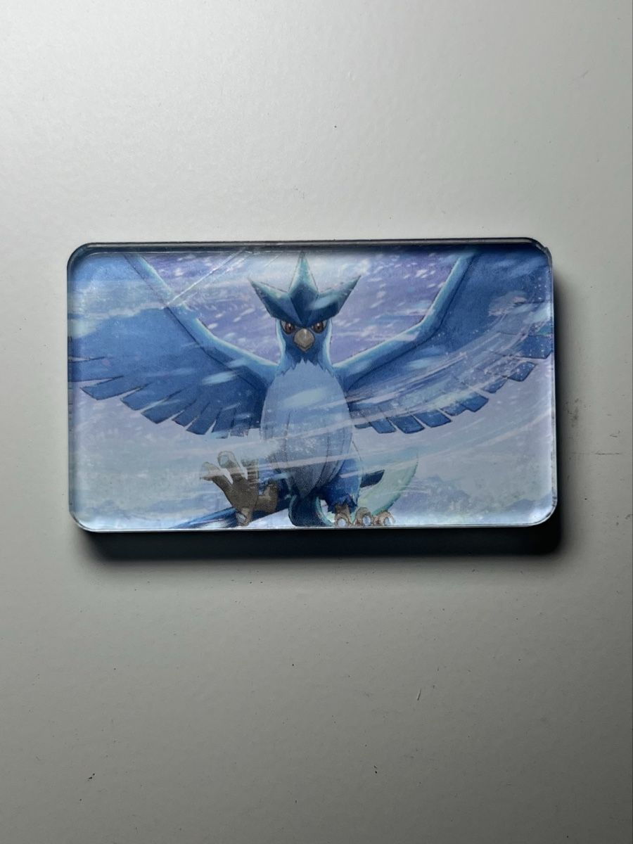 Pokémon Carte collezionabili: Pokemon Articuno Magnet – Nuovo (secondo la descrizione) da Langenthal venduto da EceSuzu