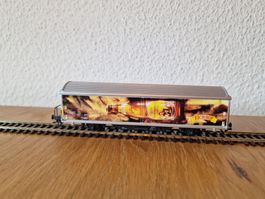 SBB Eichhof Güterwagen H0