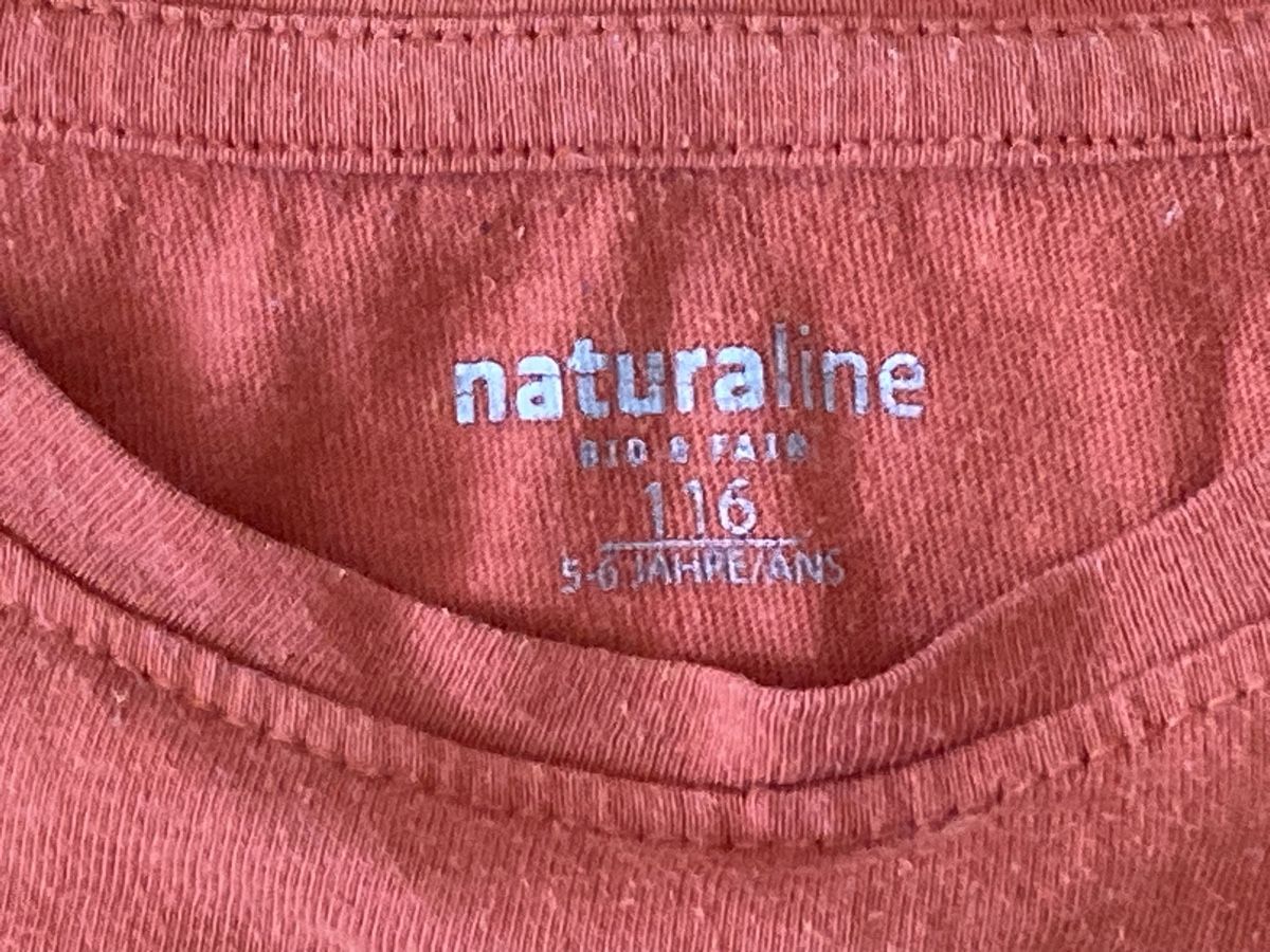 Naturaline Pulls et sweat-shirts: Langarm T-Shirt Gr 116 – D'occasion à Winterthur par Wakame 2