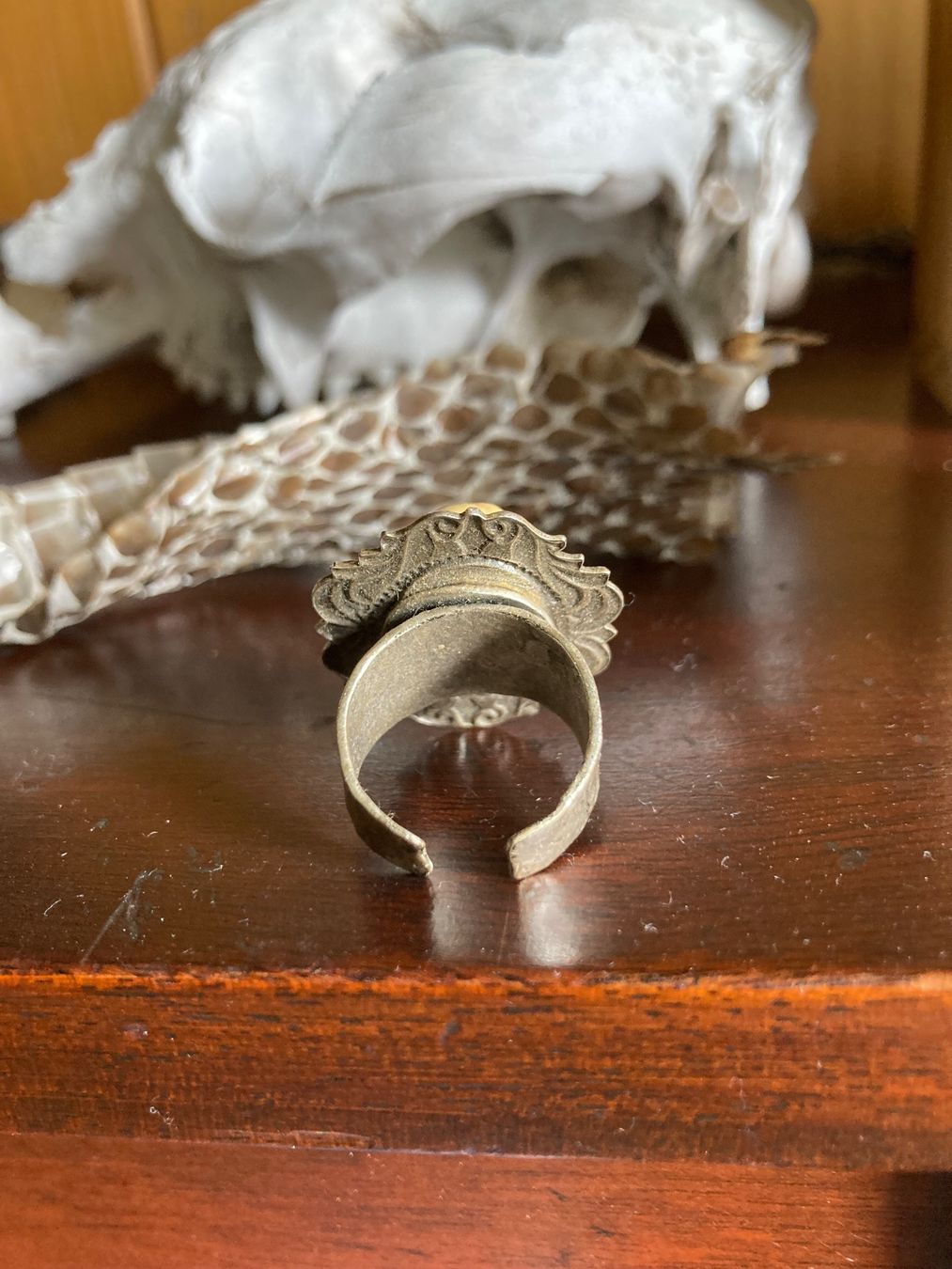 Anelli: Ring mit Vogelschädel (Kunststoff—Einzigartiges Schmuckstück – Usato da Ranflüh venduto da SwR_E19 1