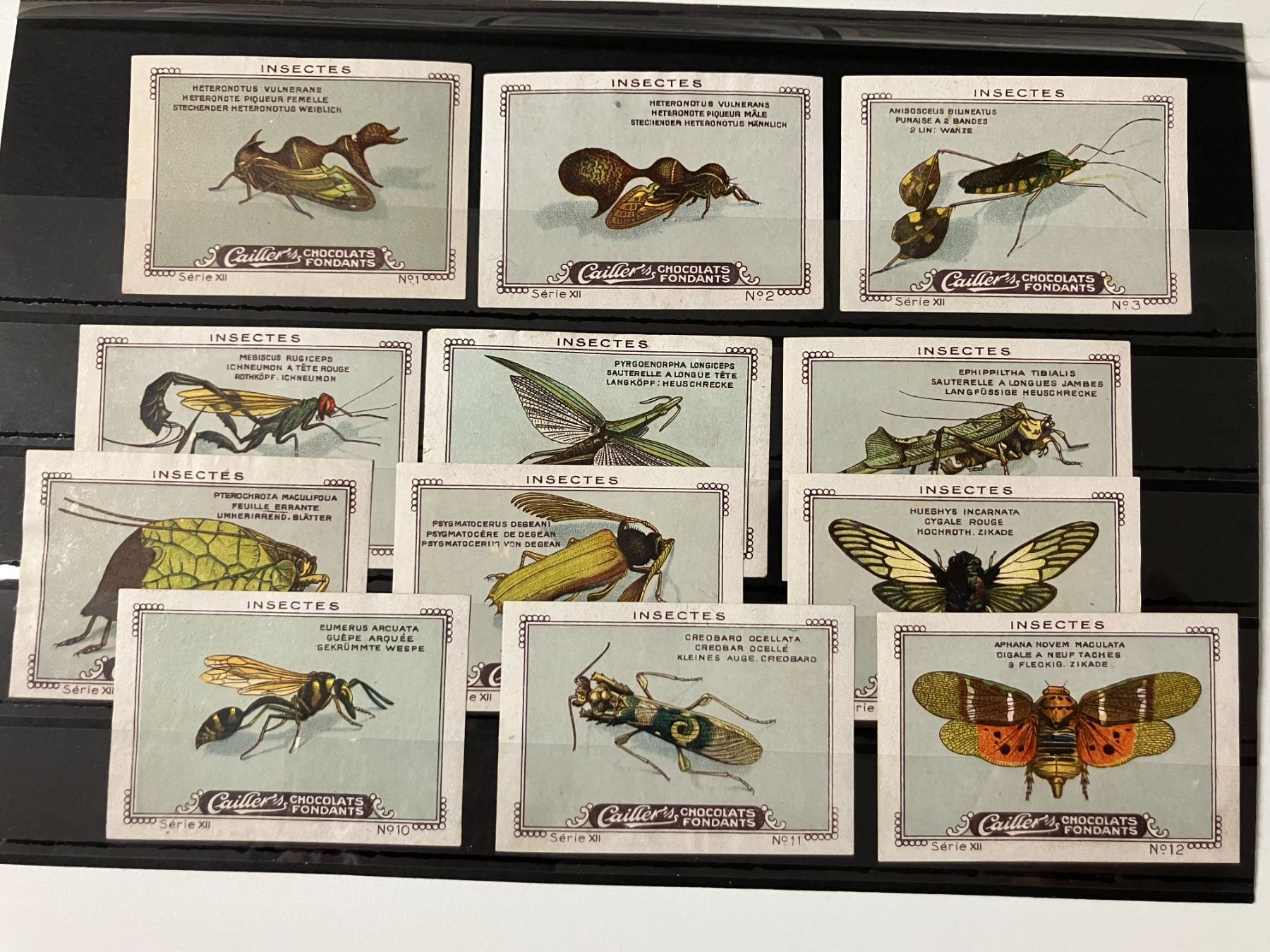 Cartoline postali: Callier Serie, Insekten 1-12 – Usato da Würenlos venduto da Eulenpostuhu
