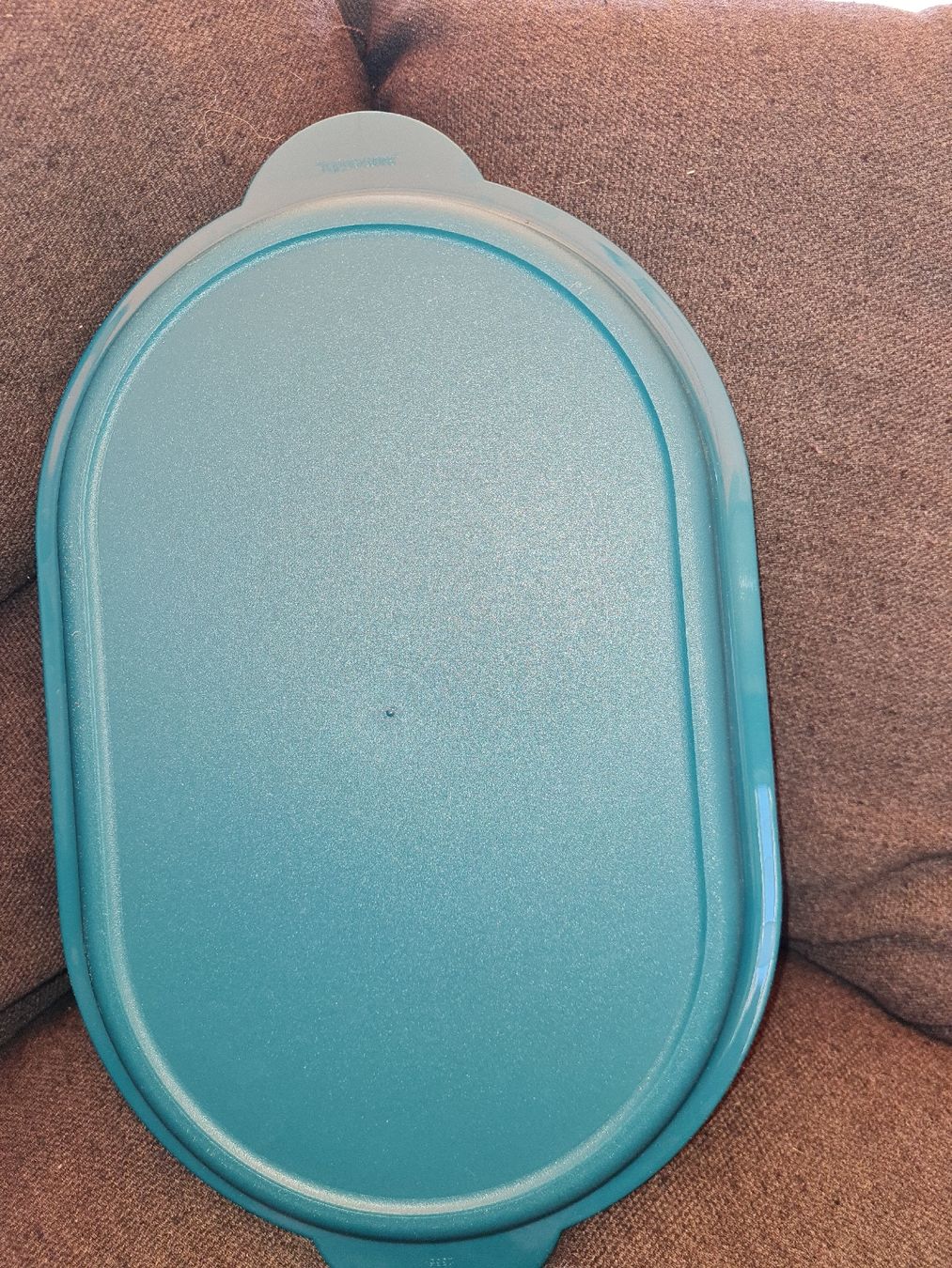 Tupperware Contenitori & Simili: Tupperware Siebservierer  oval, türkis neu – Nuovo (secondo la descrizione) da Münsingen venduto da Cuci31 4