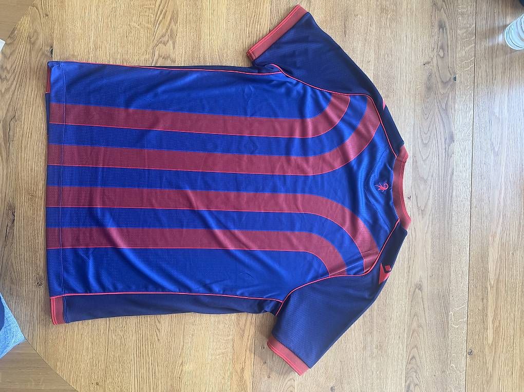 Canottiere & Pantaloni: FC Basel Heimtrikot 2025/26 Macron Grösse XL – Usato da Basel venduto da TineDittmar 1