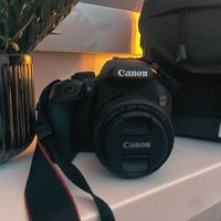Canon EOS 850D + Canon EF 50mm f/1.8 STM