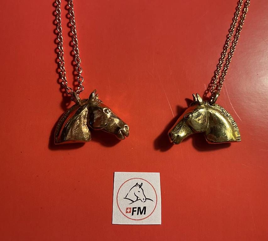 Autres bijoux: Freiberger Pferdeköpfchen in Messing, Bronze oder Silber  – D'occasion à Leysin par ulr_bj8s 3