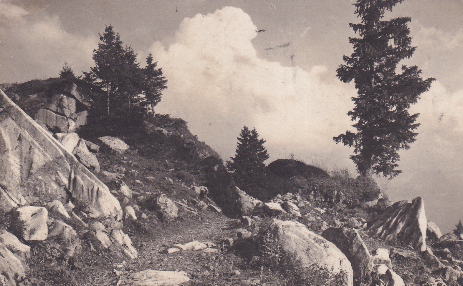 Ansichtskarten: Auf Braunwaldalp - Oberstaffel 1925 – Gebraucht aus Cormoret von Pascalll2001