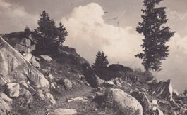 Auf Braunwaldalp - Oberstaffel 1925