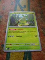 POKEMON  Turtwig    H  TEF EN    010/162    HP80   2024