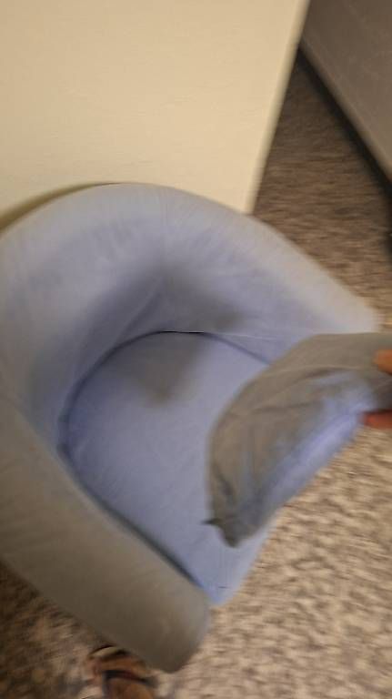 Fauteuils: Fauteuil bleu avec son coussin – D'occasion à Petit-Lancy par mik_fs6x 1
