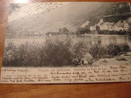 Vingelz, Am Bielersee, 1905, o Biel/Bienne Juravorstadt