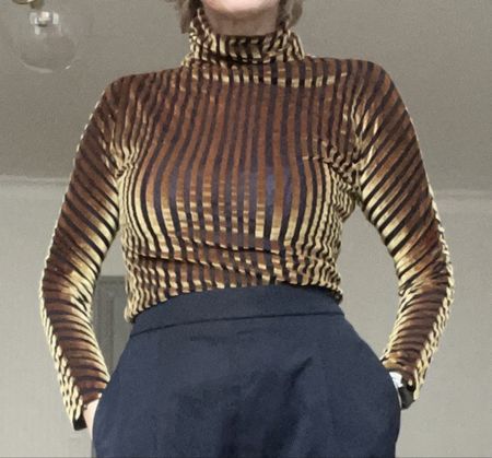 ✨ Steinrohner ✨ Rollkragenpullover Samt gestreift braun 
