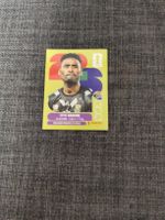 panini RSA 3
